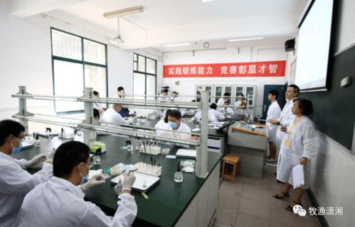 湖南成功舉辦第四屆全省水產(chǎn)技術(shù)推廣職業(yè)技能競賽 融合通訊工程技術(shù)研發(fā)與服務(wù)