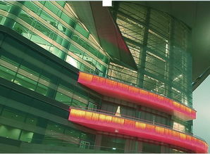 Wing King Tong 在多元業務中探尋軟件與咨詢的融合之道